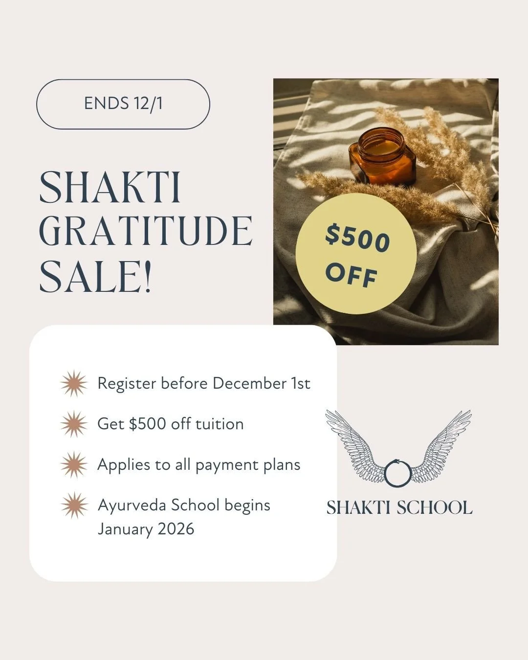 🍁 In the spirit of the giving season we are offering a limited Gratitude Sale this weekend only for Level 1 Ayurveda School.⁠
⁠
Why? Because we are grateful for this program, this community, our team&hellip;.and for YOU.⁠
⁠
We believe you deserve to