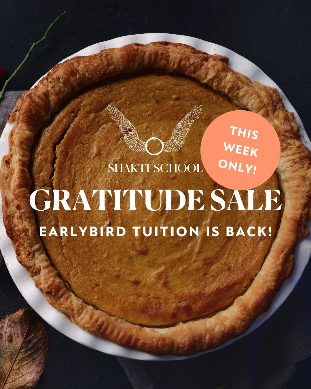 ​​True abundance starts within.⁠
⁠
As the season of gratitude and abundance unfolds, it&rsquo;s easy to get swept up in the frenzy of Black Friday deals and endless shopping lists. But what if this year, you invested in something far more transformat