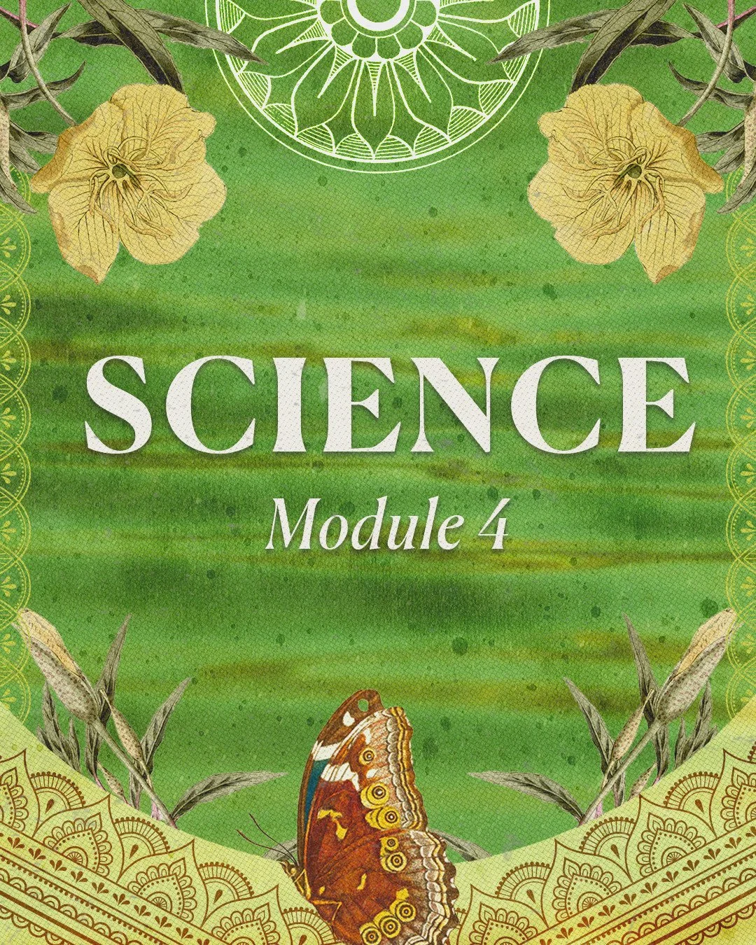 ✅ Q: What&rsquo;s the quick-and-dirty on the Shakti School Ayurveda Program? What do I really need to know?⁠
A: The Ayurvedic Wellness Coach Certification is our year-long, Level 1 Spiritual Ayurveda training&mdash;and it&rsquo;s a complete, transfor