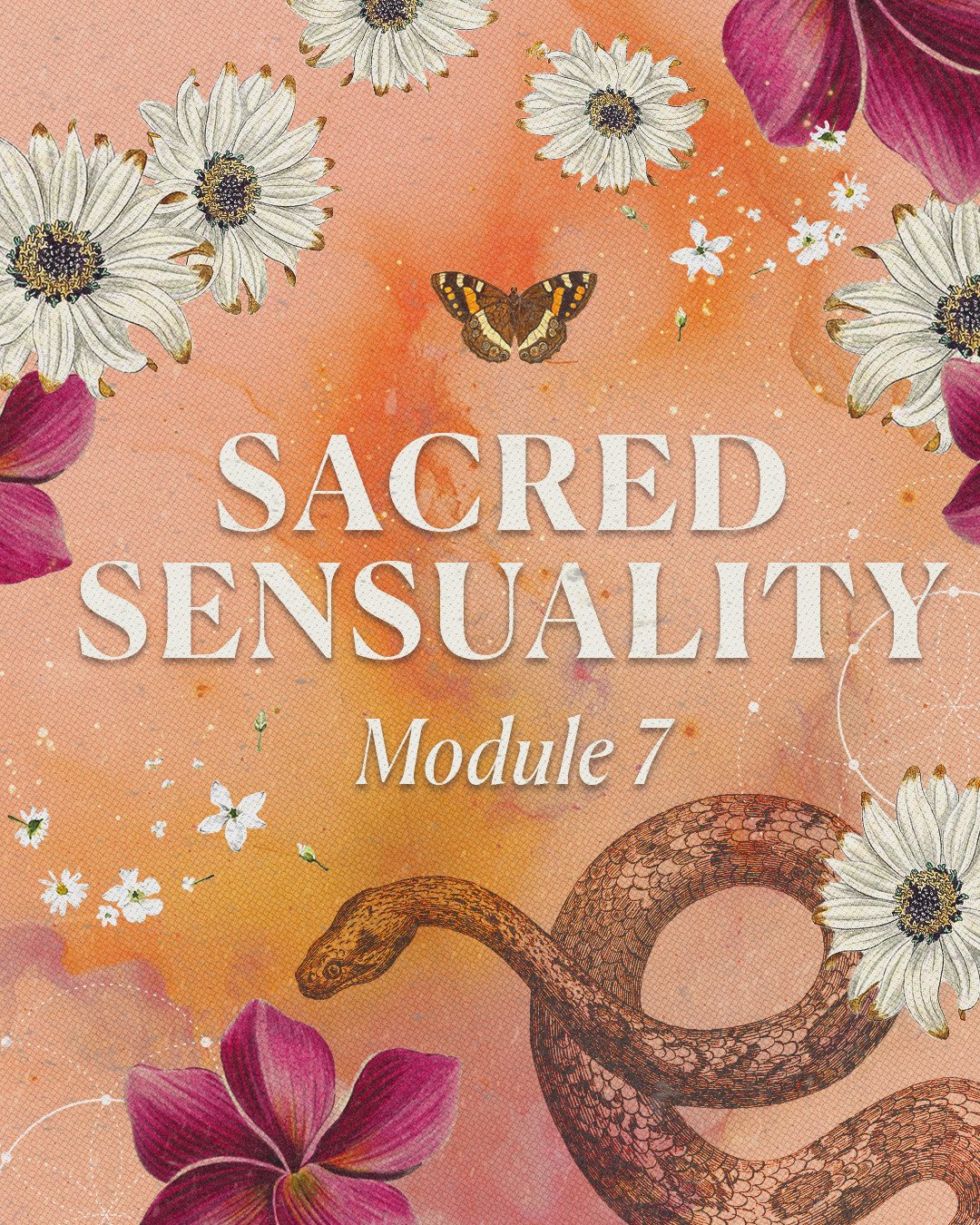 Q: &ldquo;Do you cover all phases of women&rsquo;s health? I&rsquo;m not in my 20s or 30s anymore&hellip; is this program still for me?&rdquo;⁠
⁠
A: Ohhh yes, beautiful woman. Let&rsquo;s clear this one up because it comes up a lot.⁠
⁠
Shakti School 