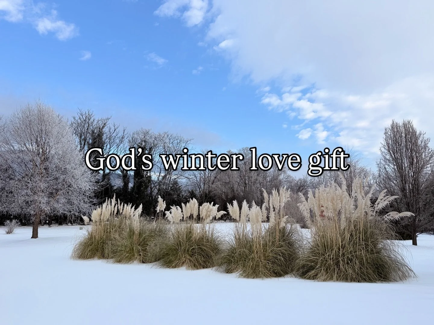 My dear brother @micah_rewilding (and Shakti school teacher!) reminded me to get out in it! ❄️❄️❄️❄️ post your fave winter ritual below ⬇️💘