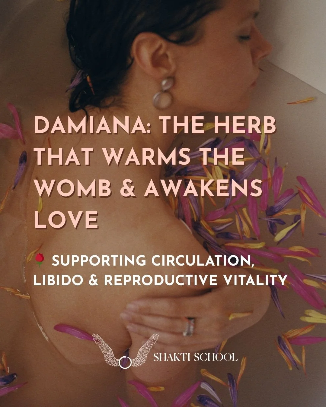 Damiana has long been called the herb of love - not because it forces desire, but because it restores the warmth, circulation and nervous system ease that allow pleasure to arise naturally. ⁠
⁠
Through an Ayurvedic lens, damiana supports agni, moves 