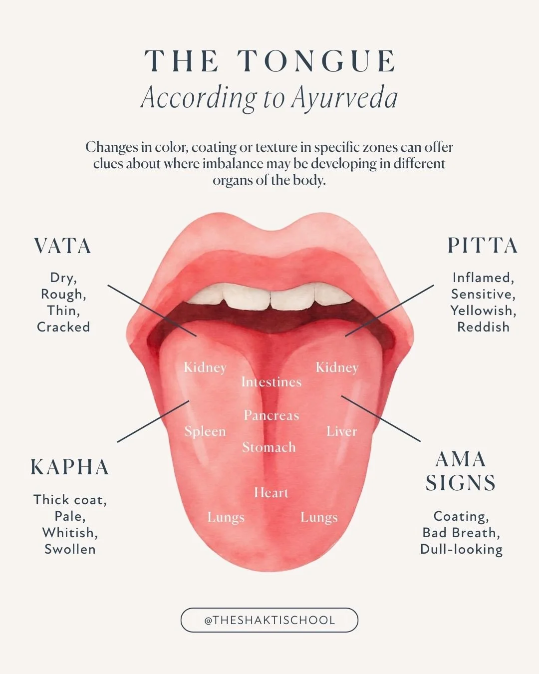 Your tongue is a living mirror of your body&rsquo;s ecosystem. 👅🌀⁠
⁠
Ayurveda teaches that the tongue reflects digestion, detoxification, tissue health and even how well you&rsquo;re processing life itself. ⁠
⁠
When your digestive fire - aka your a