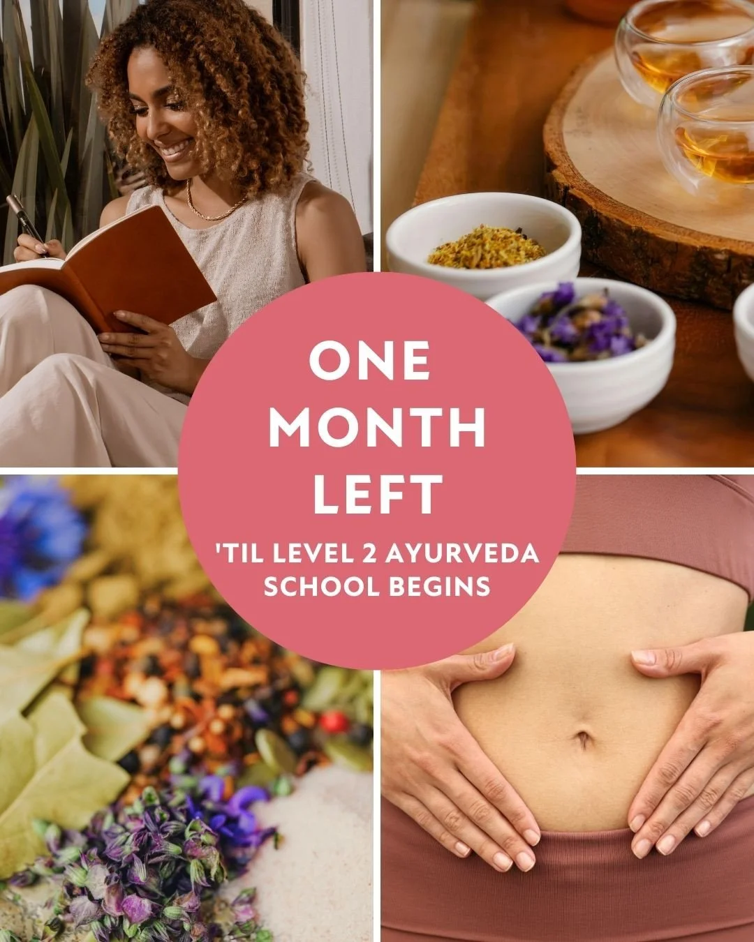 There&rsquo;s only ONE MONTH until we come back together for our second year of feminine-form Ayurvedic studies! Swipe for the deepened feminine-form education you&rsquo;ll be immersed into in Level 2. 👉🏼😍⁠
⁠
Level 2 is so special because it&rsquo