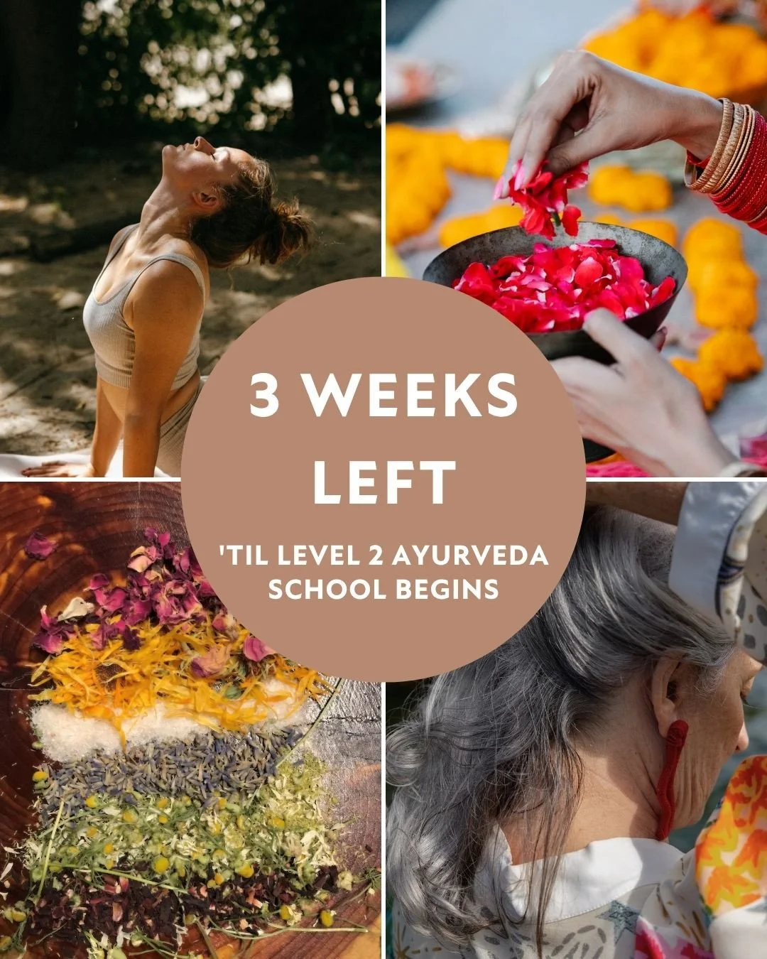 The Level 2 course begins in 3 weeks and we are gearing up to make it more amazing than ever before. We're adding new classes, teachers and finessing the curriculum to support the most transformative, deep-learning experience possible.⁠
⁠
But don't t