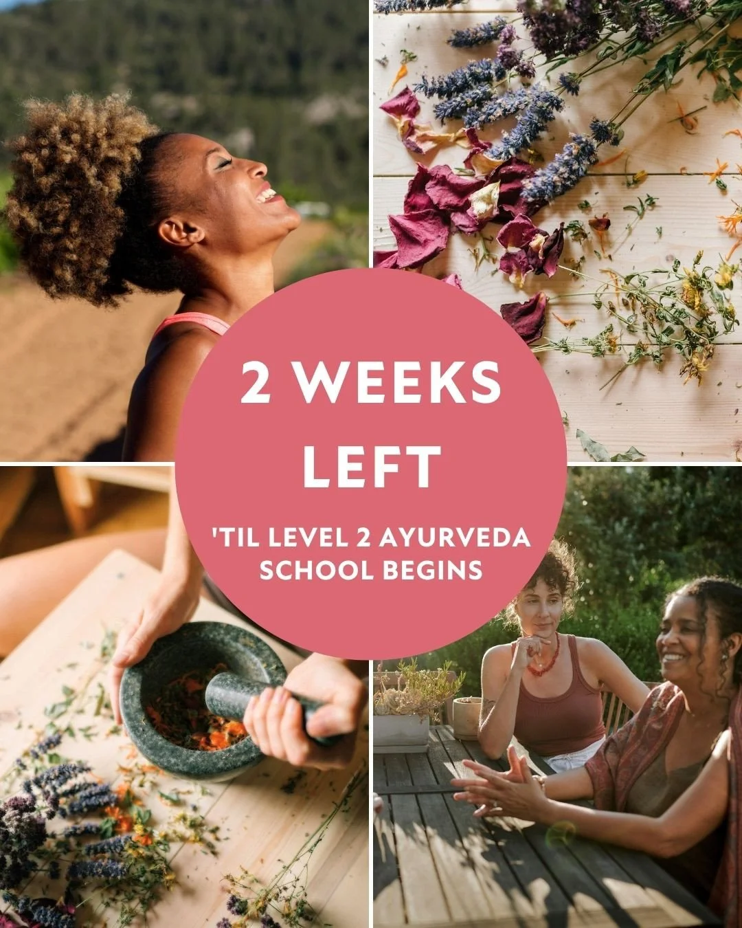 As you know, our next Level 2 training begins so soon! Year after year, upon completion of Level 2, it's deeply touching to see just how much leveling your Ayurveda School experience up for another year matters in the journey. ⁠
⁠
Swipe for some refl