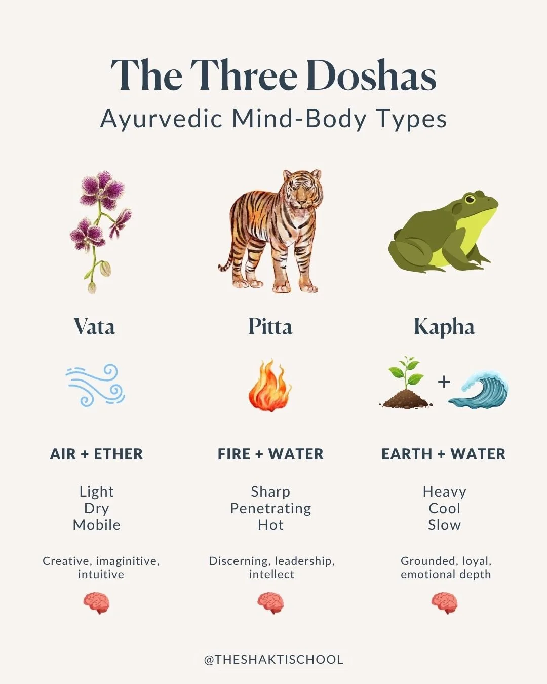 Ayurveda divides us into mind-body types called doshas, which simply means &ldquo;that which is waiting to go out of balance.&rdquo; Through observing patterns over thousands of years, the Ayurvedic sages discovered that some of us are like delicate 