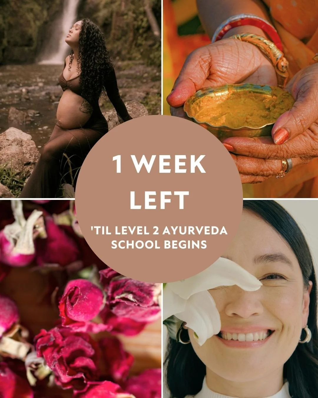 The Shakti School&rsquo;s Level 2 Ayurvedic Health Counselor Certification Training begins in just one week and these are some of the most popular modules in our one-of-a-kind feminine-form Ayurveda + Tantra curriculum. ✨⁠
⁠
🌹 Deeper Self-Care 🌹⁠
&