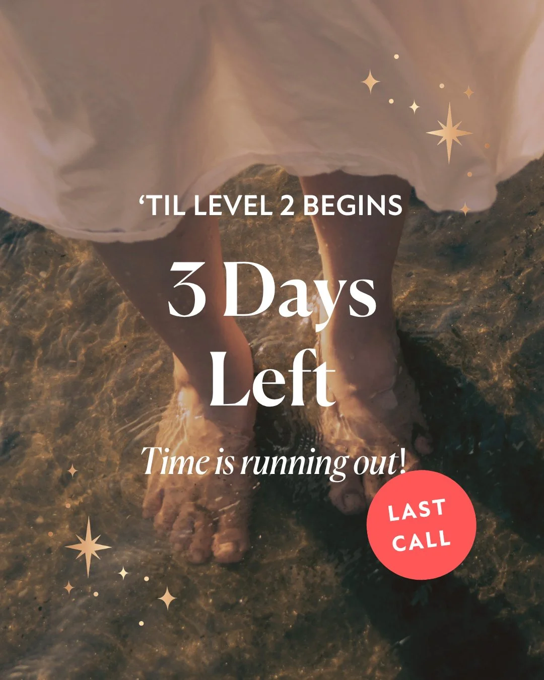 We created Level 2 quite honestly for two simple reasons:⁠
⁠
1. Something magical occurred in Level 1 and our students didn't want it to be over ⁠
2. Neither did we⁠
⁠
Level 2 is the outcome of knowing, deep in our hearts, that our journey together w
