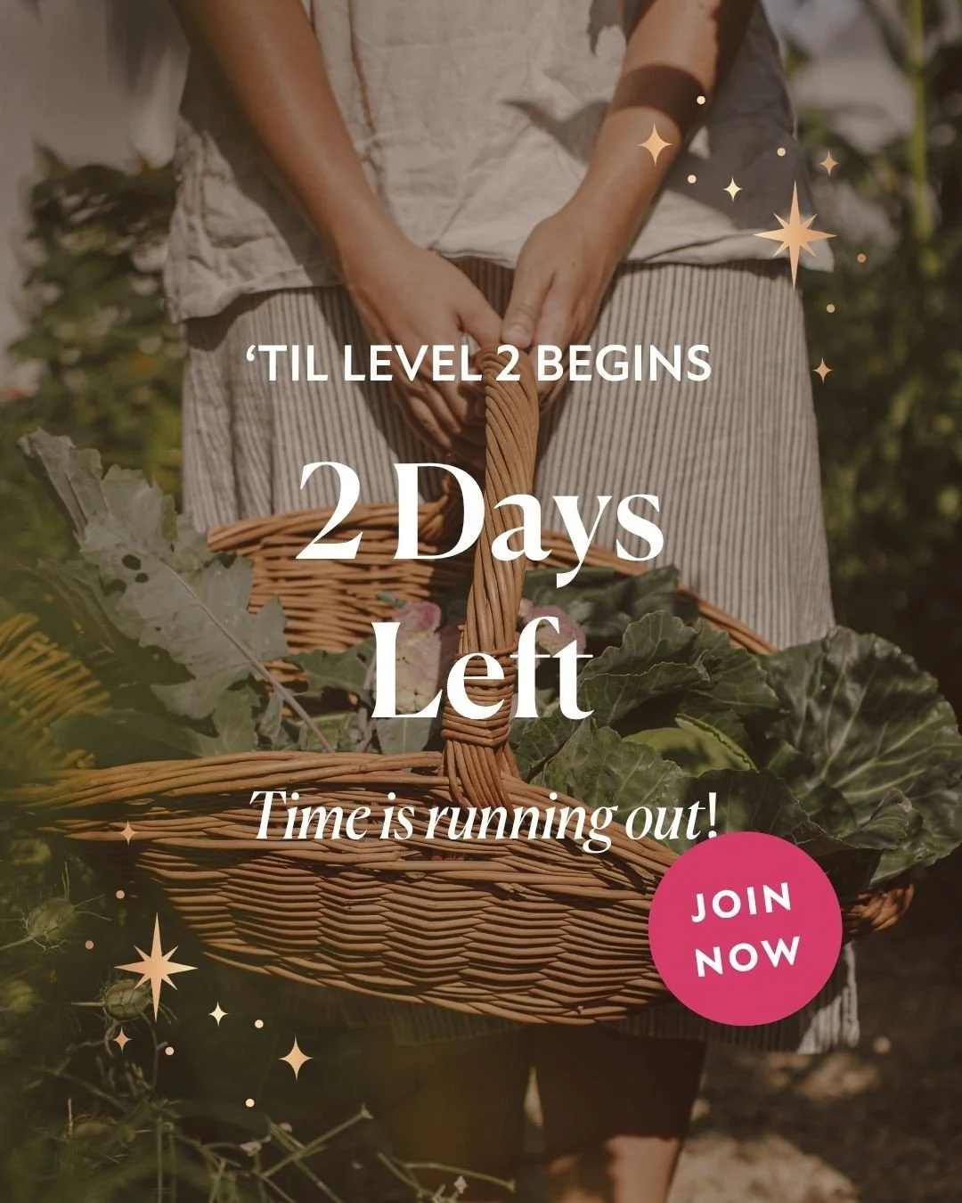 Are you ready to take your Ayurveda practice deeper? To not only embody this ancient wisdom but to step into the role of a true healer and guide?⁠
⁠
Level 2 of The Shakti School&rsquo;s Ayurveda Certification is more than a course&mdash;it&rsquo;s an