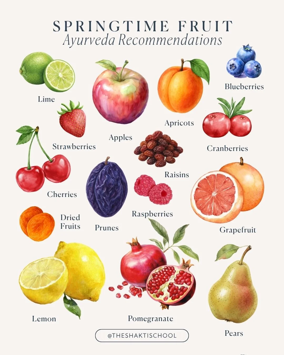 Light, astringent fruits in the spring can help us balance Kapha, bringing in lightness and brightness and helping to dry up excess kapha fluids. The trick is to stick to fruits that are first and foremost local and in season, and that are light, ast