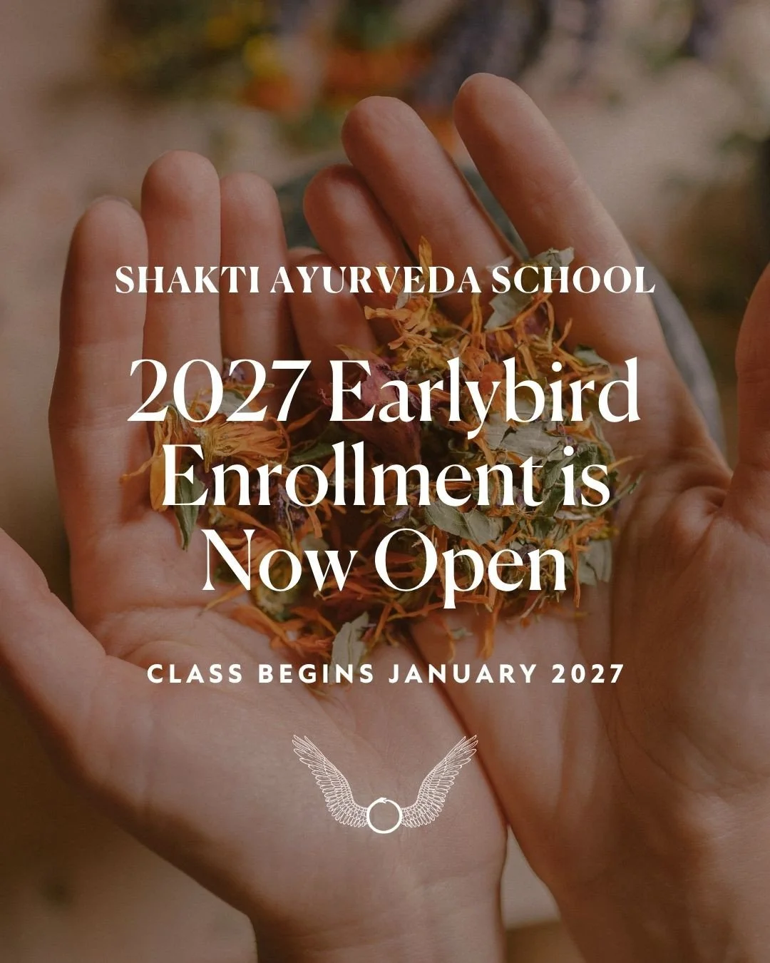 The doors are officially open! Earlybird registration for our 2027 Ayurvedic Wellness Coach Certification program is here!🚪🎉🙏🏽⁠
⁠
For those of you who have been waiting for this year and are ready to dive right in - I wanna&rsquo; give you all th