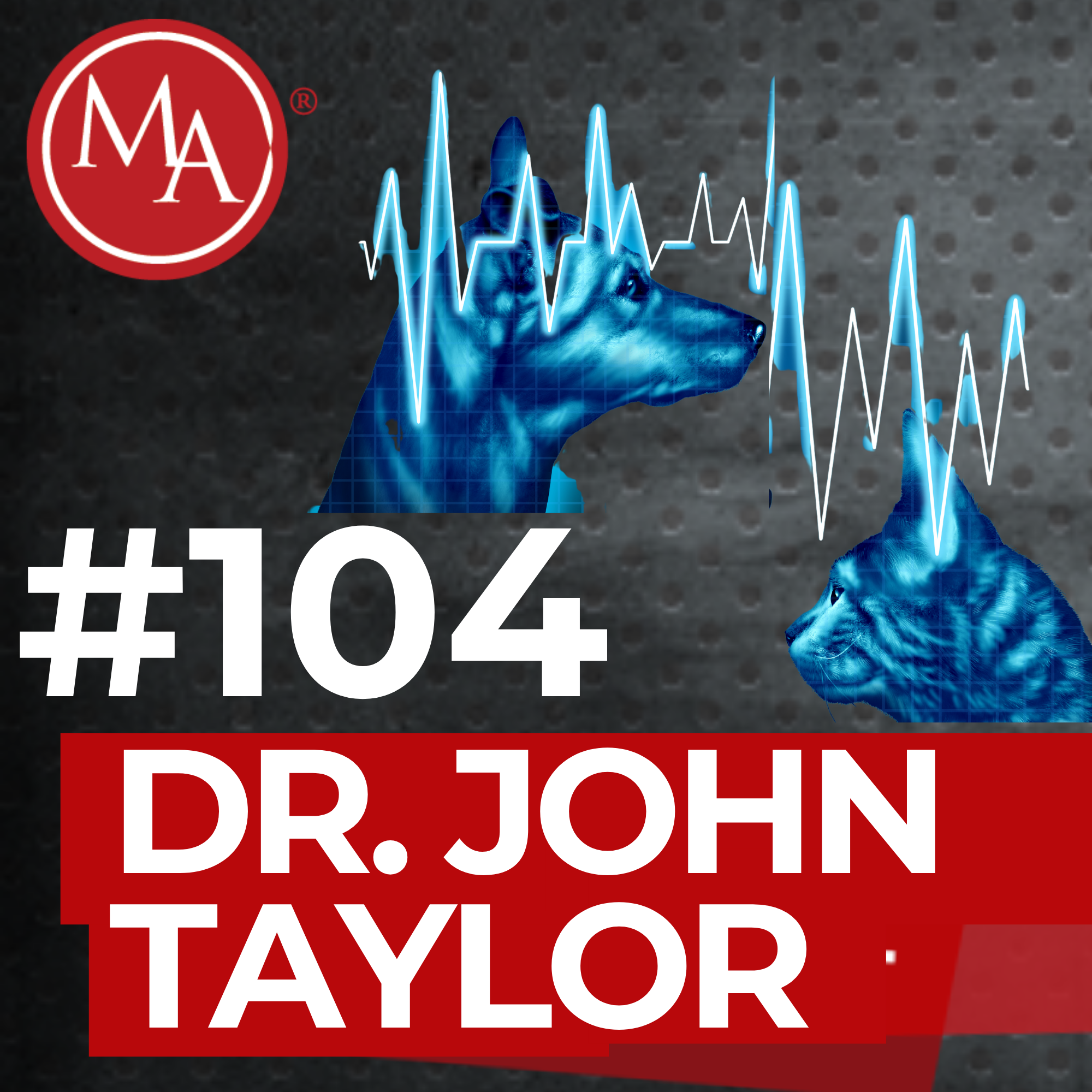 #104 – A Natural Solution for Many Of Our Pets’ Problems?