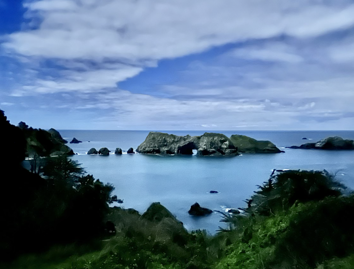 Screenshot 2026-02-06 at 12.31.08 PM.png