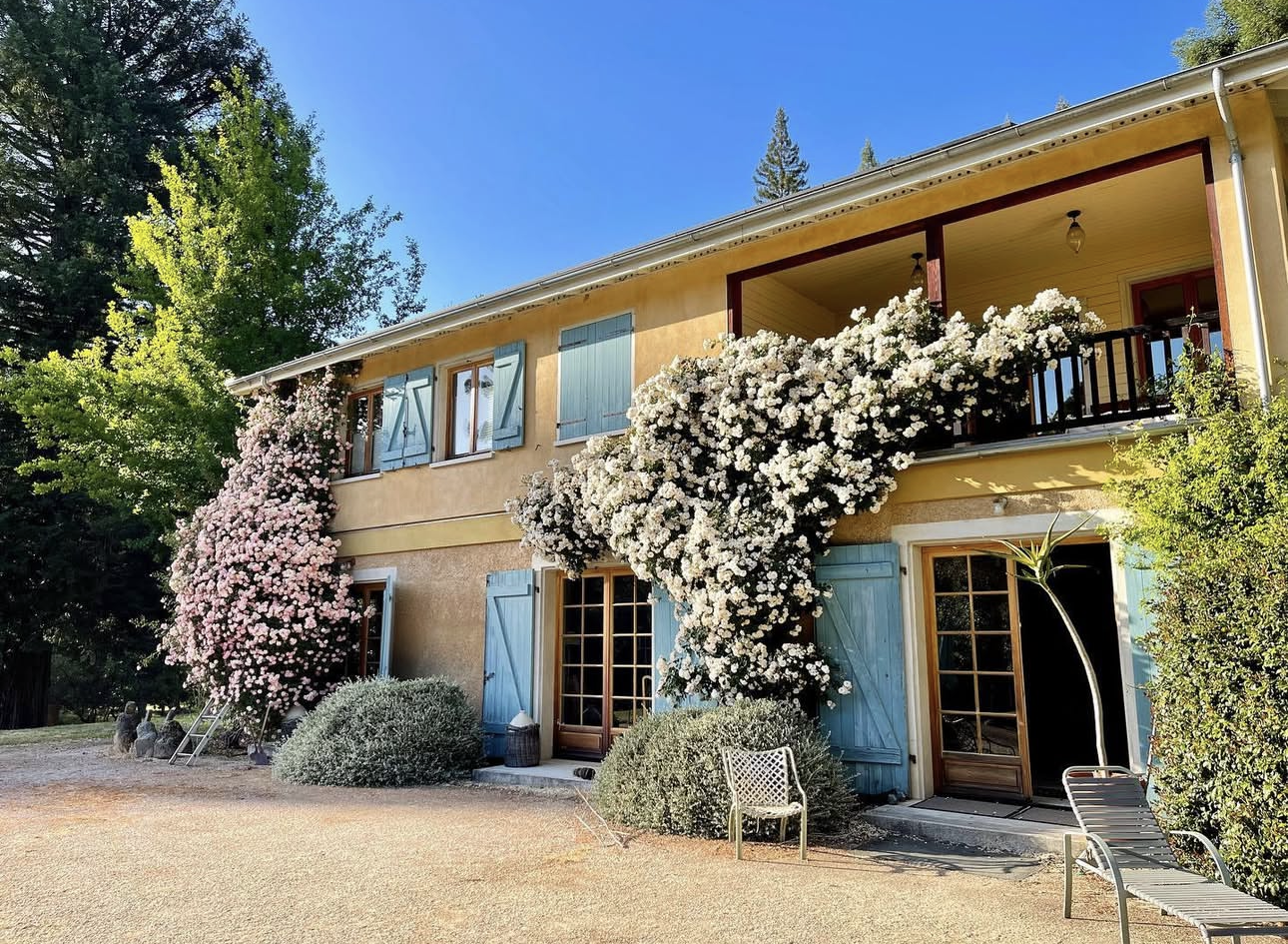 Screenshot 2026-02-07 at 5.41.03 PM.png