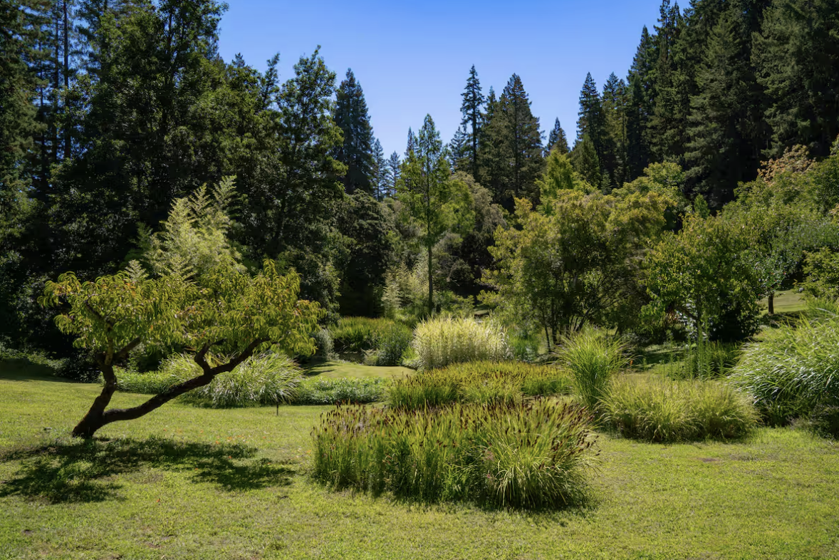 Screenshot 2026-03-03 at 12.59.31 PM.png