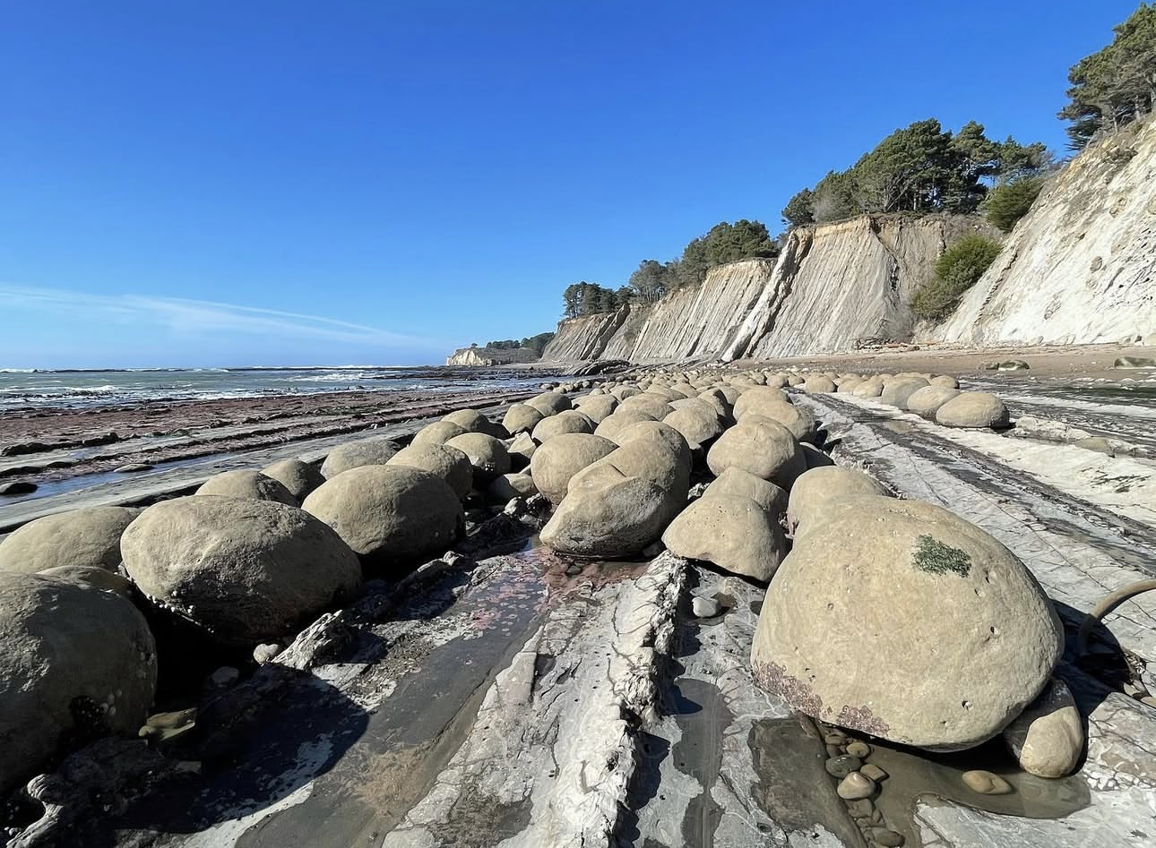 Screenshot 2026-02-07 at 5.38.33 PM.png