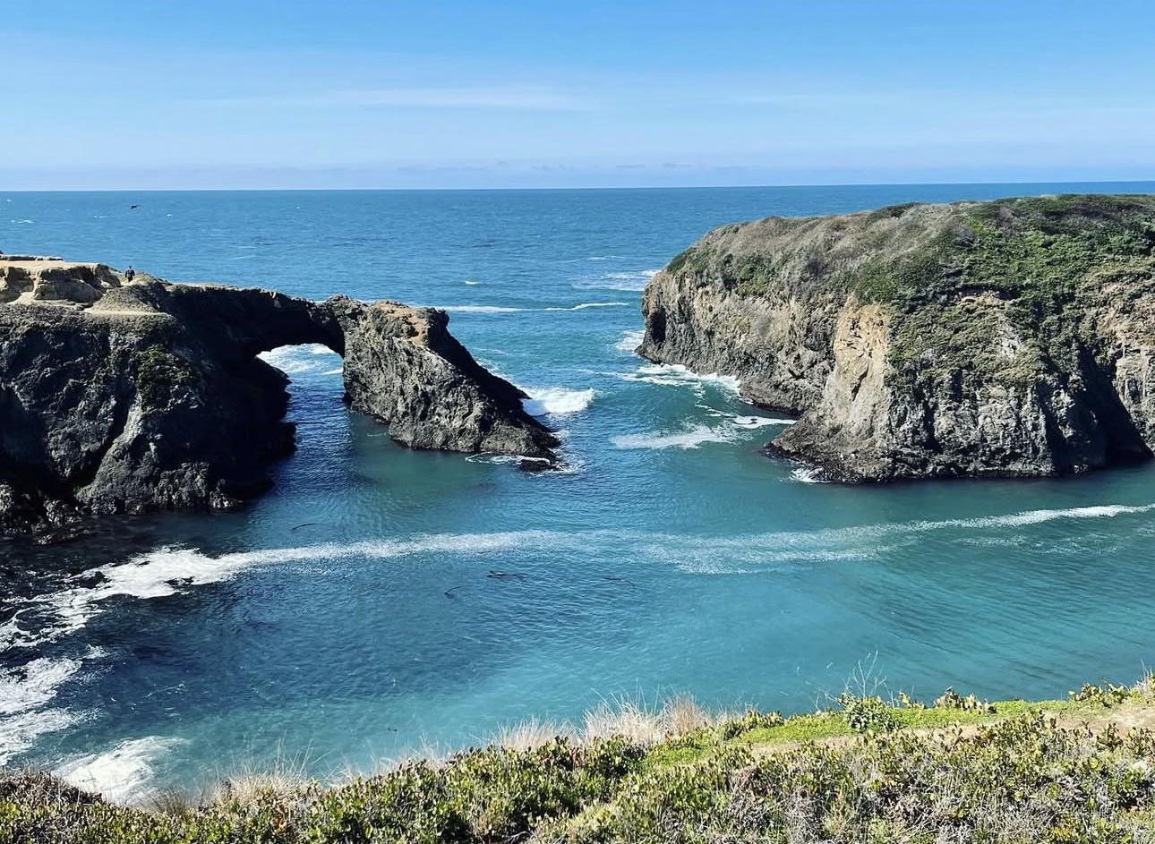 Screenshot 2026-02-07 at 5.33.55 PM.png