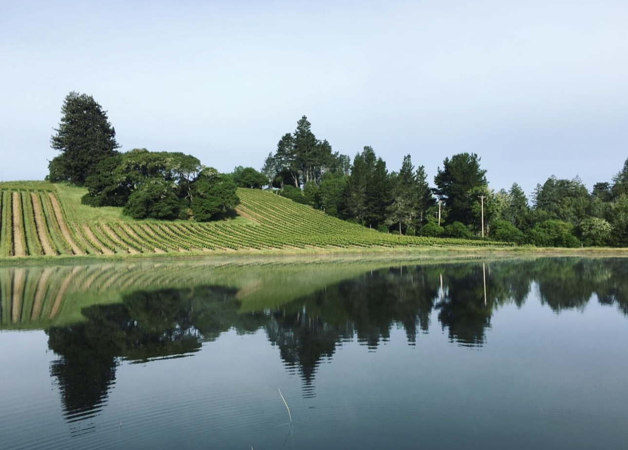 Screenshot 2026-02-07 at 5.34.38 PM.png