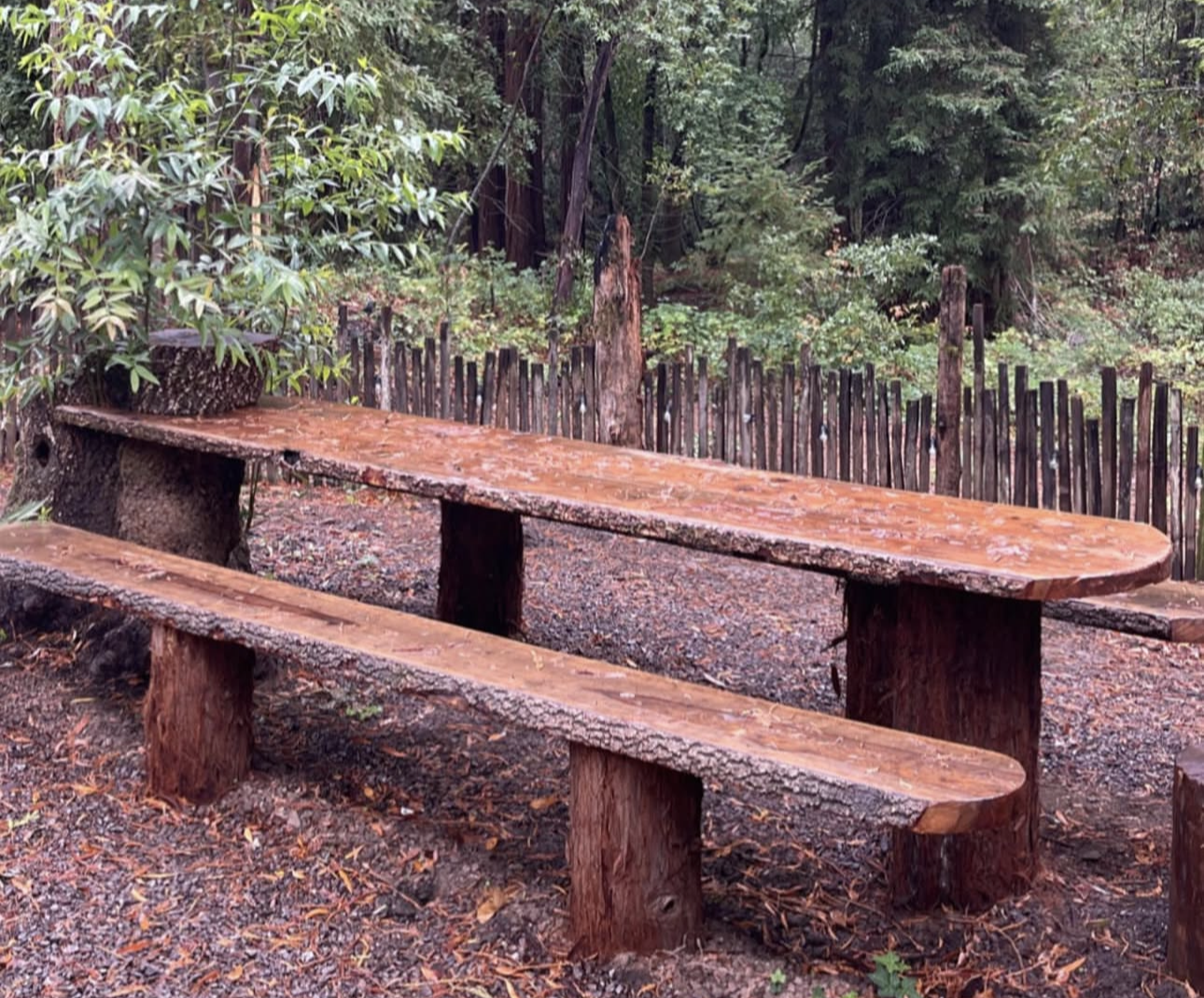 Screenshot 2026-02-07 at 5.41.30 PM.png