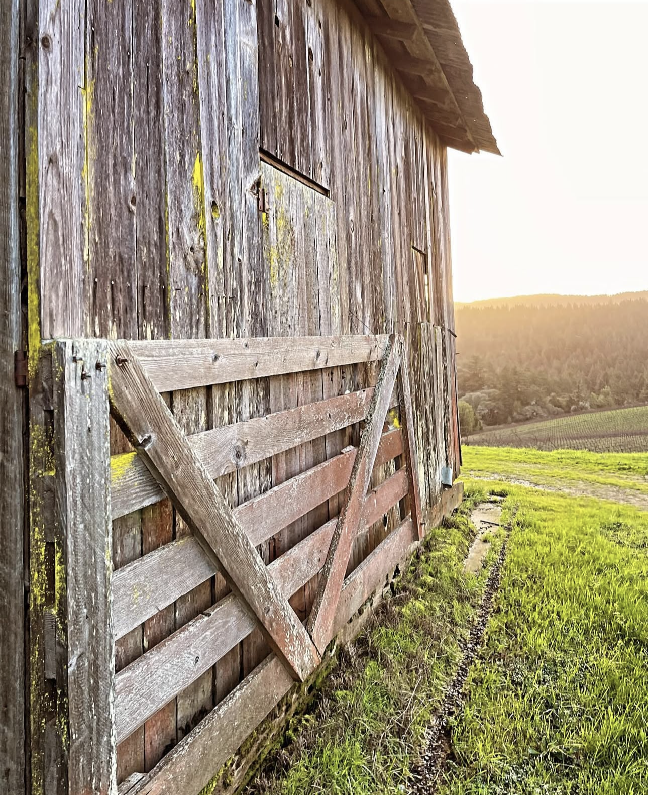 Screenshot 2026-02-07 at 5.35.48 PM.png