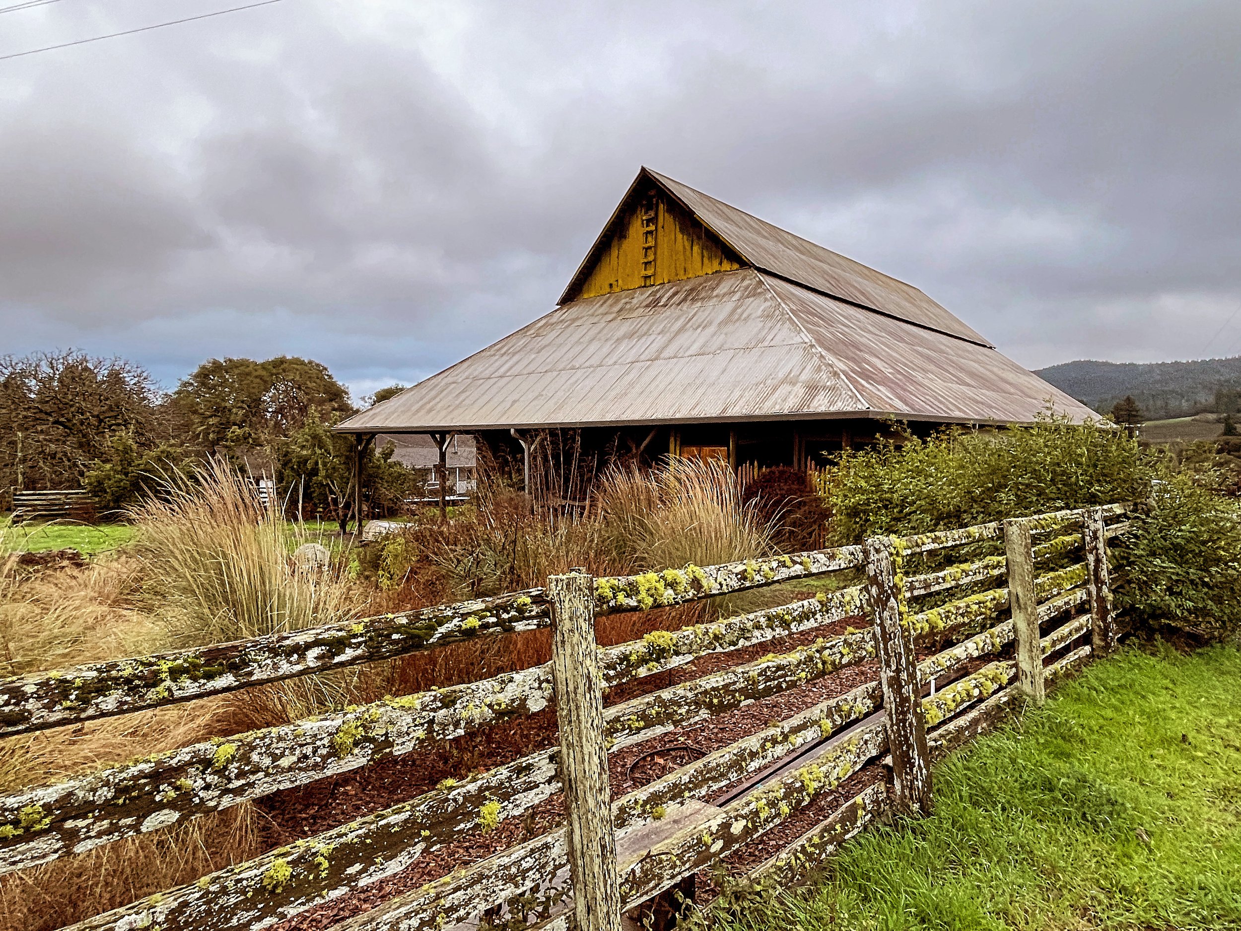 20B33DED-8ADE-49C4-AFD6-03BFF33E25D5 2.JPG