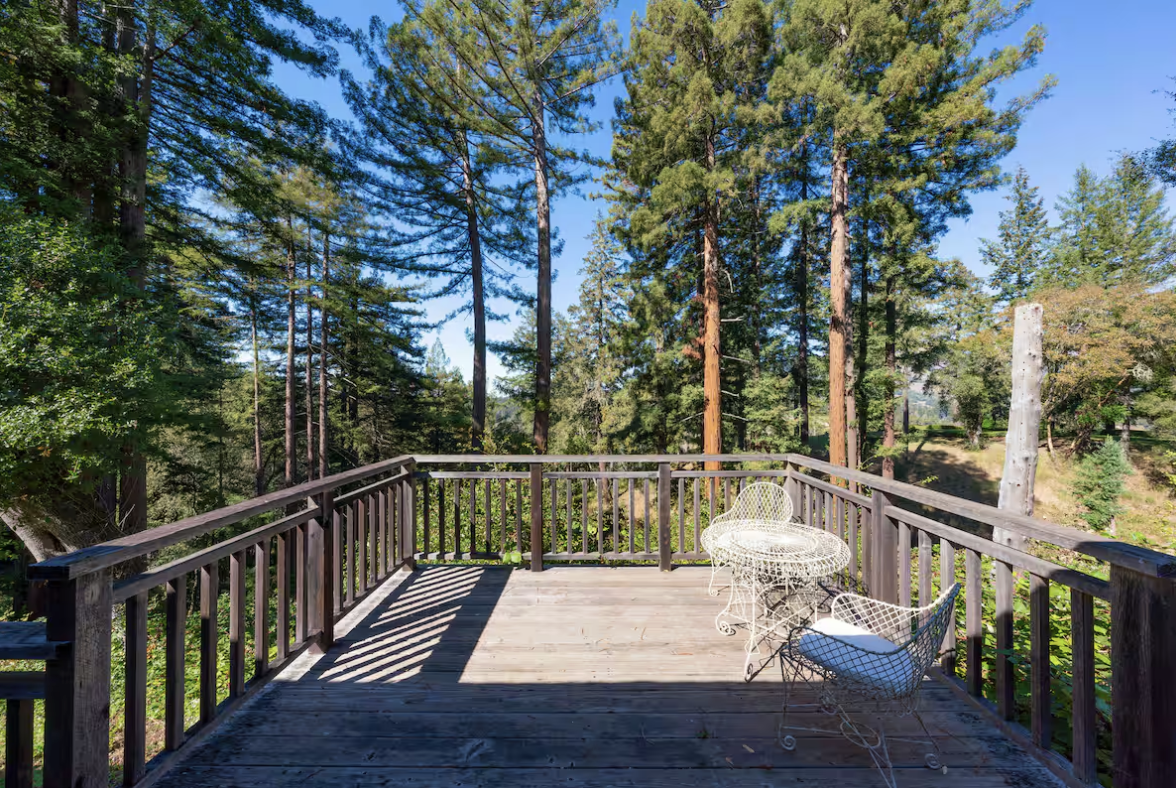 Screenshot 2026-03-03 at 12.58.55 PM.png