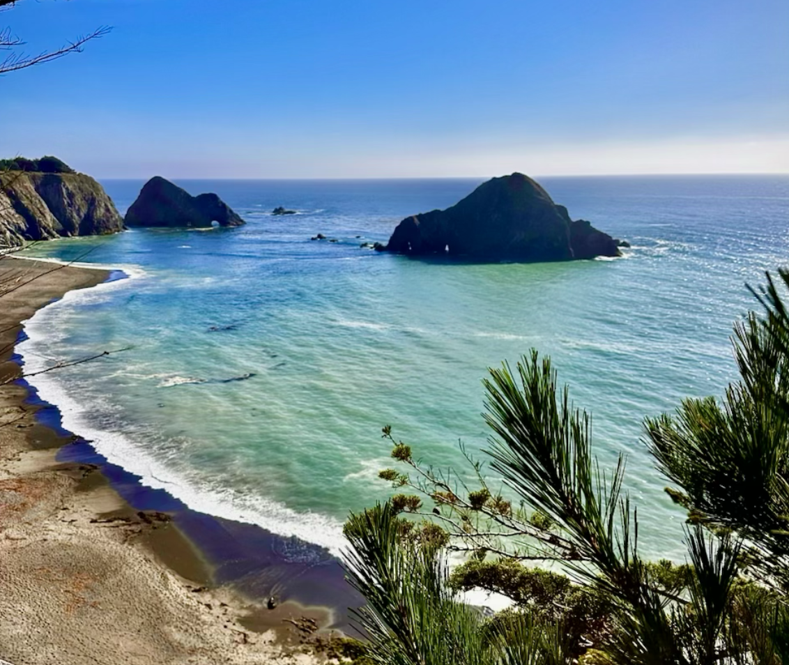 Screenshot 2026-02-06 at 12.30.50 PM.png