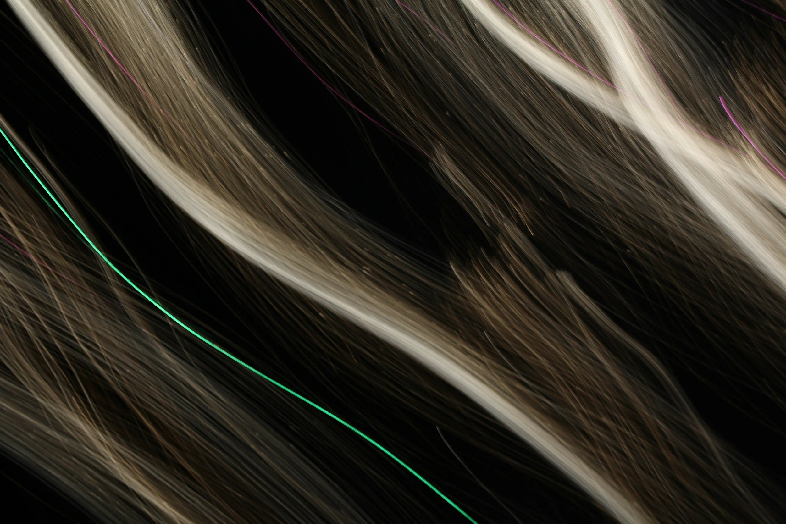 Laser &amp; LED Caps for Hair Growth