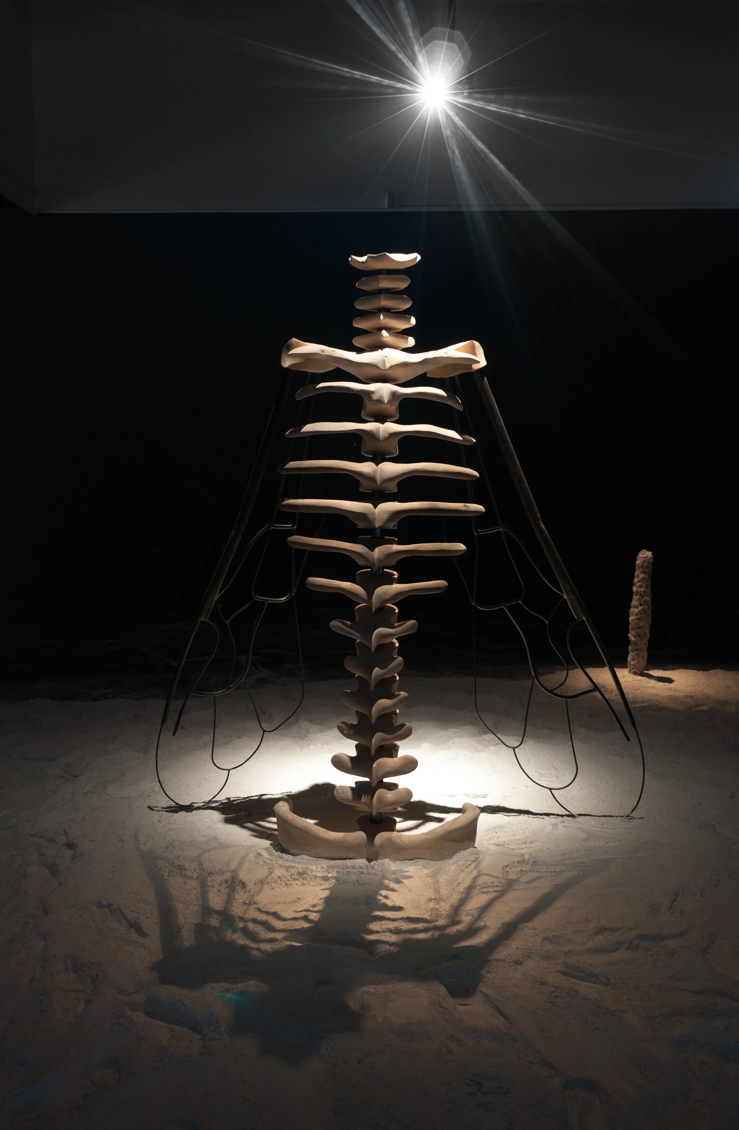 20_SAlshaibi_Exodus_backview.jpg