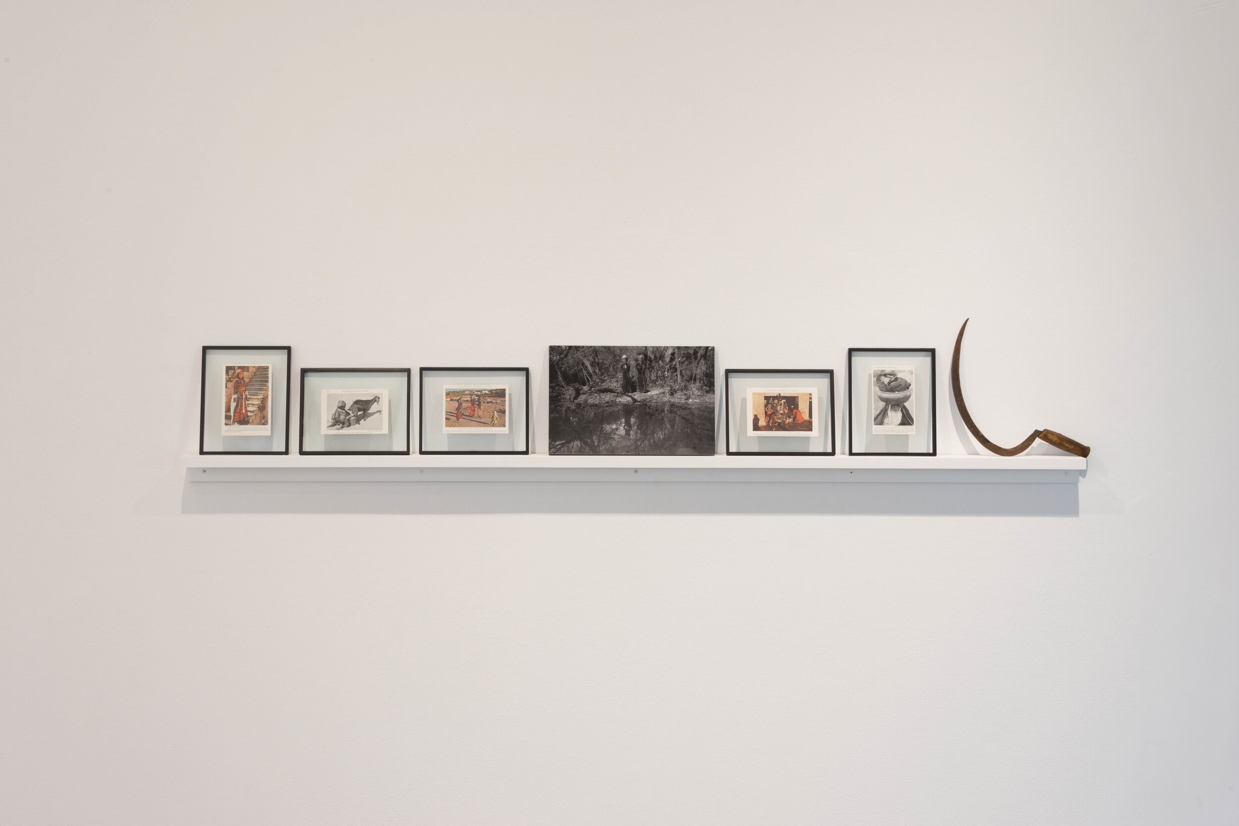IAIR_SAlshaibiExhibitionPhotography_CreditSealePhotographyStudios_4.2.201914.jpg