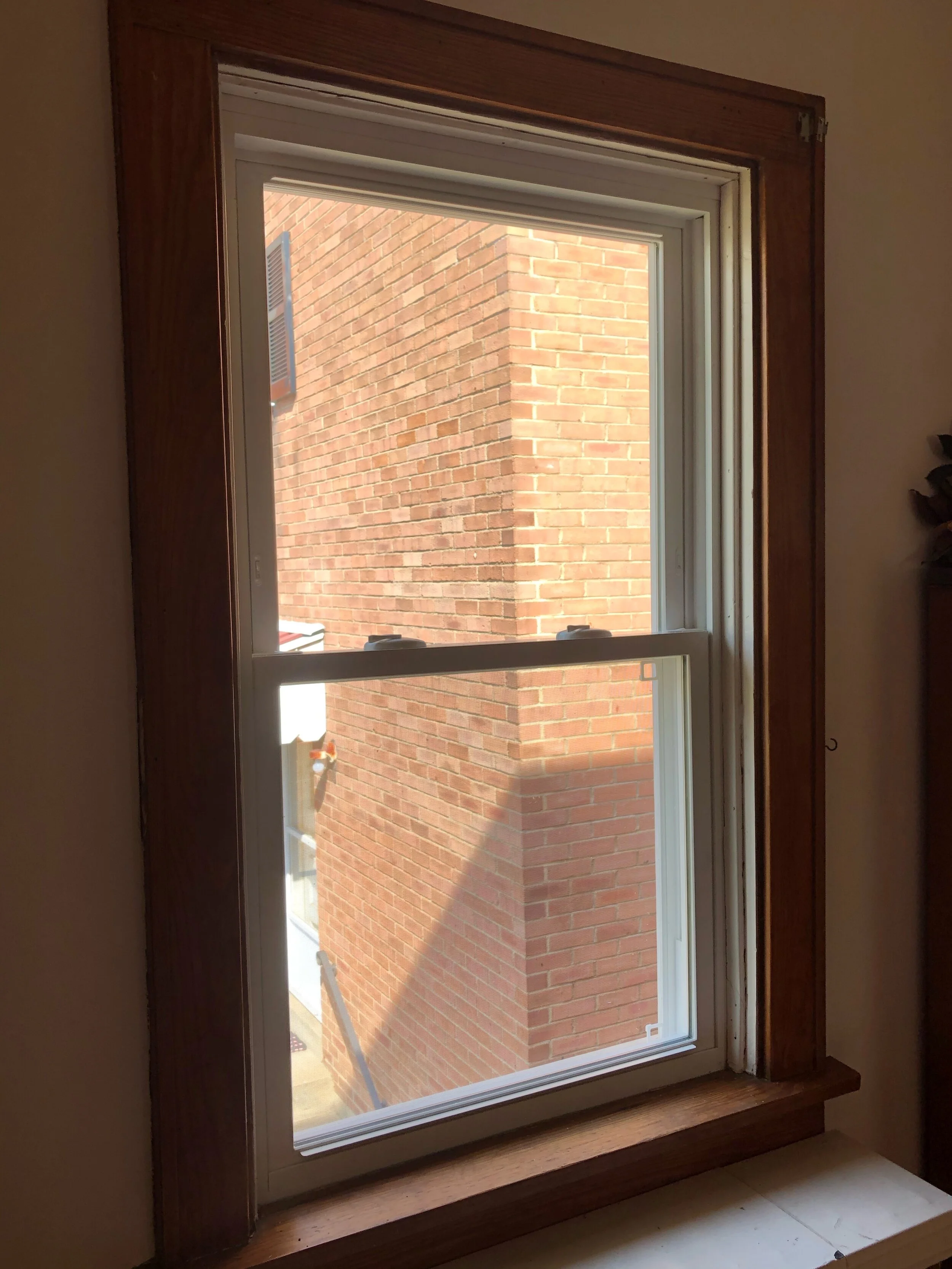 Windows + Doors