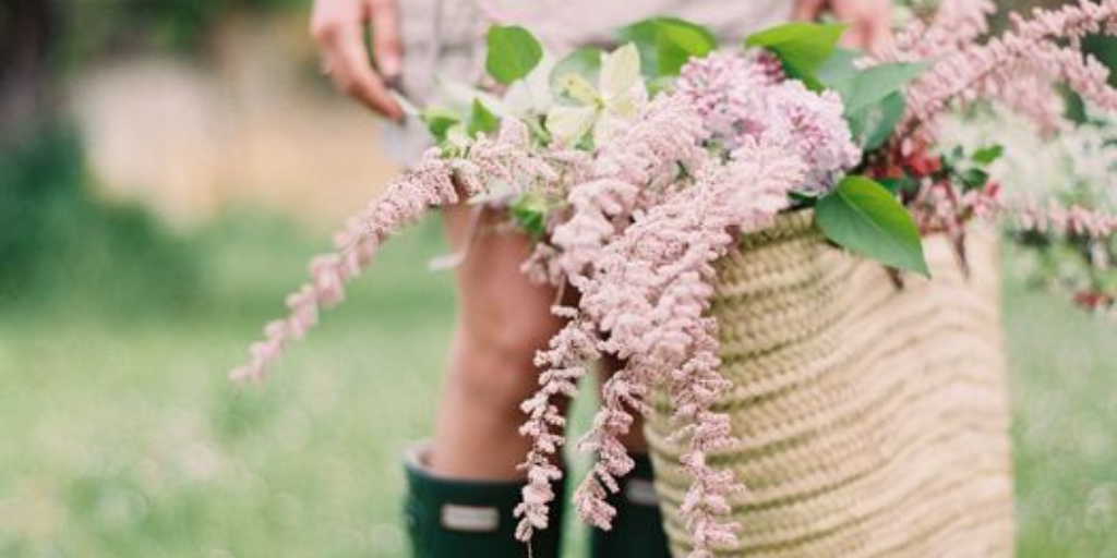 Keeping Cut Flowers Fresh