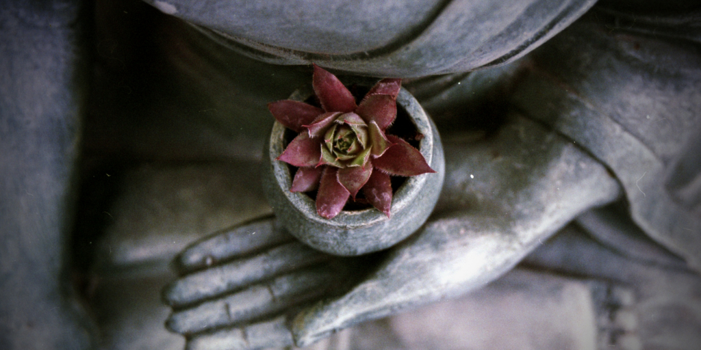 Zen and The Art of Mistake