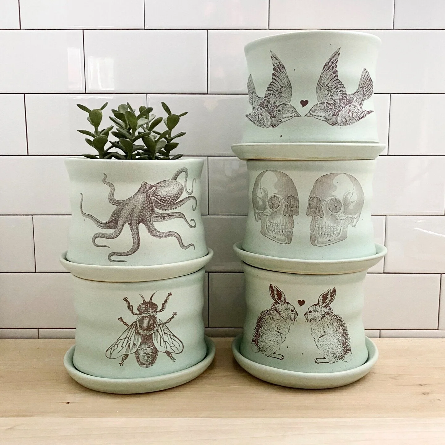 Stanley+chester+pottery.jpg