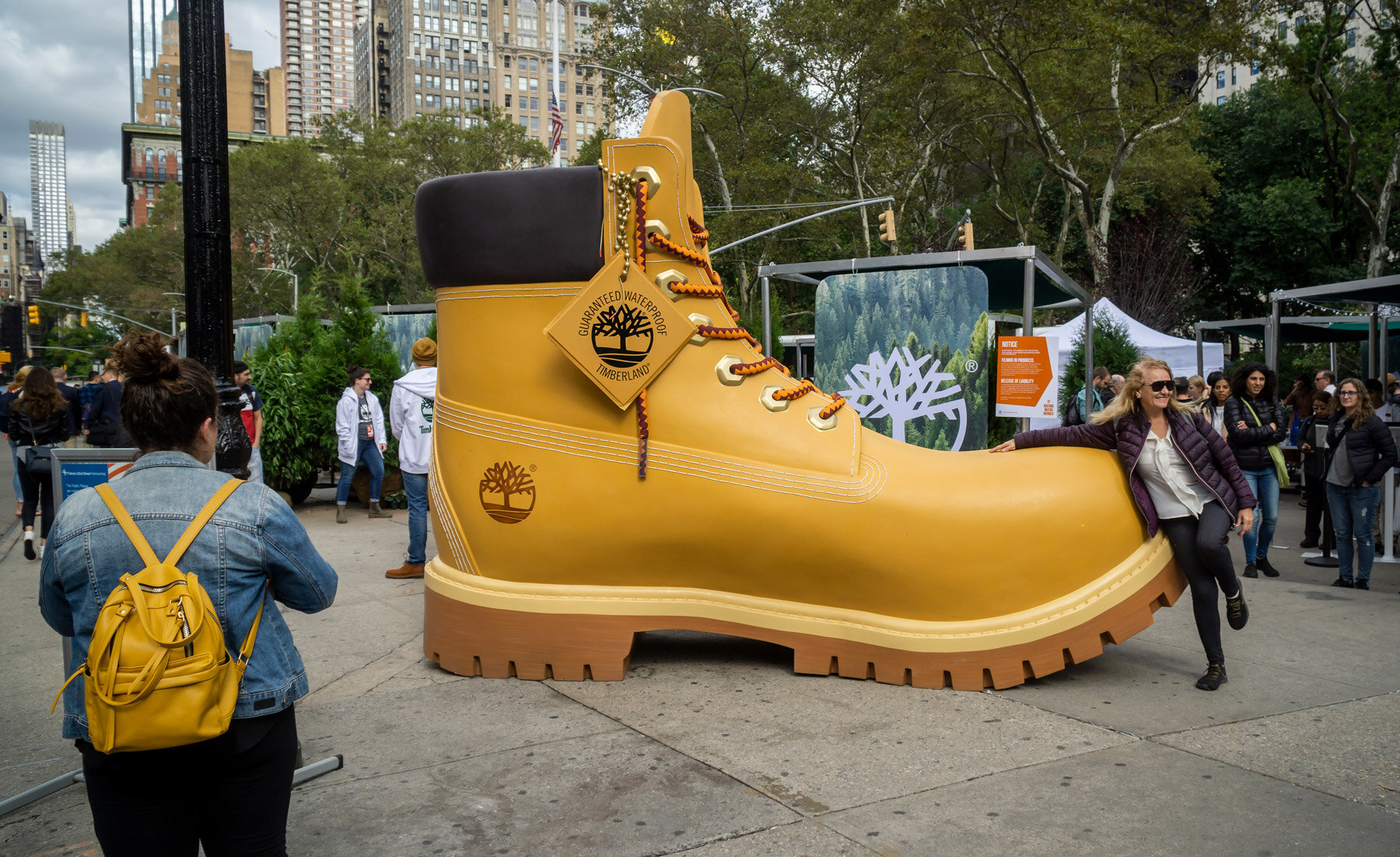 The_A_A_Agency_Timberland.jpg