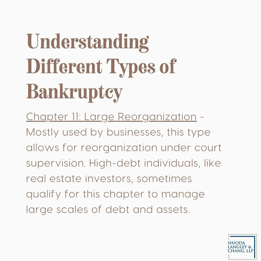 Did you know there are multiple types of bankruptcy options tailored to different needs? Among them, Chapter 11 &mdash; a viable option for small businesses and individuals with substantial assets and debts. 

Tailored for entities that can still gen
