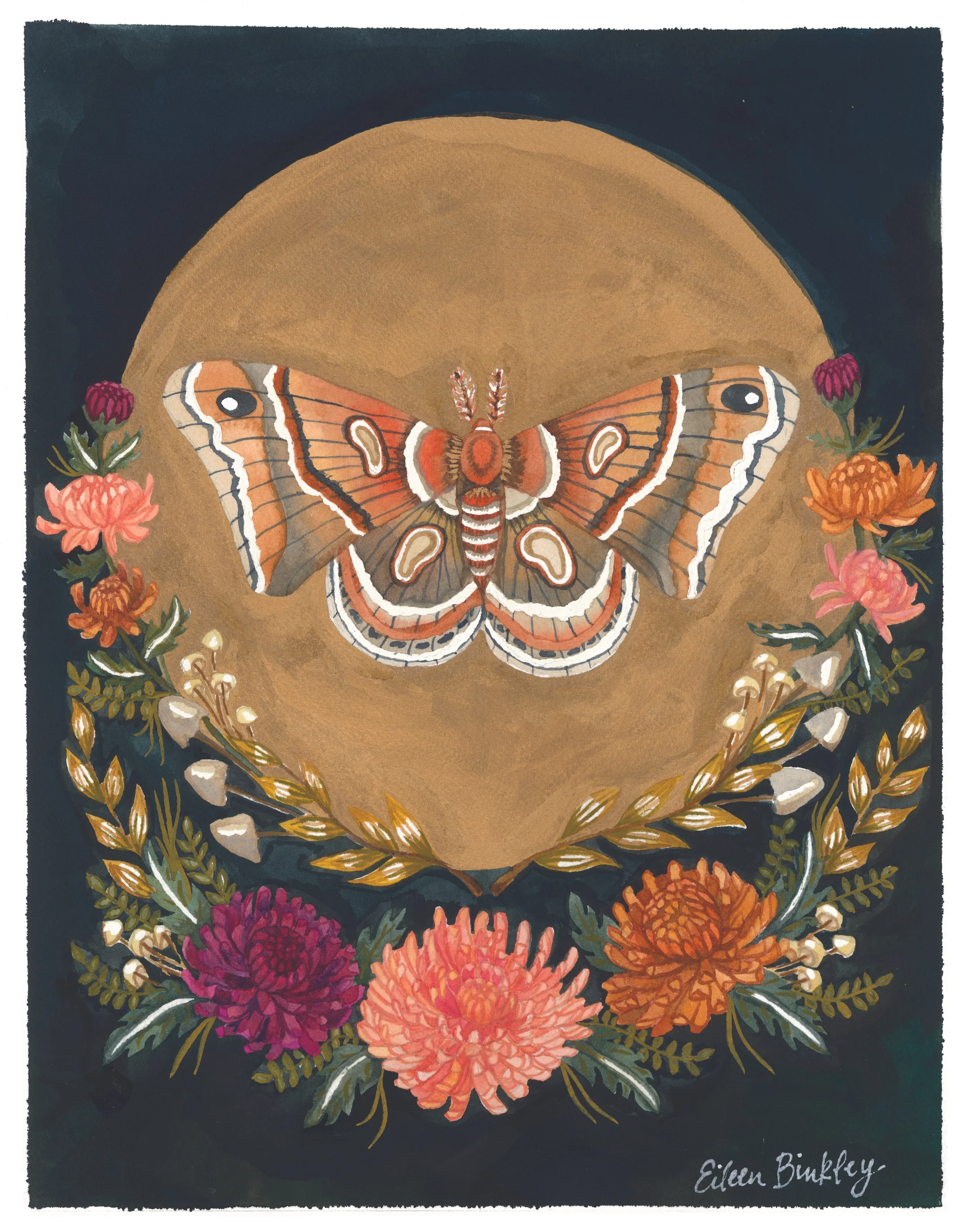 Cecropia with mums.jpg