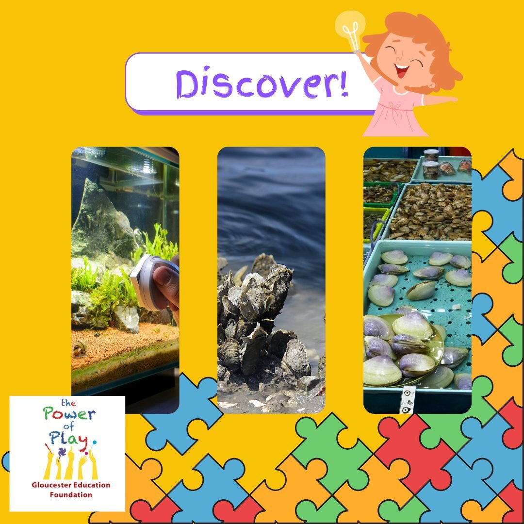 ROUND 5: Discover

This Play Station is chock-full of science, engineering, experimentation and investigation. Can you guess what some of these fishy friends might be doing at this year's Power of Play? 
#powerofplay #gefpowerofplay #move #create #bu