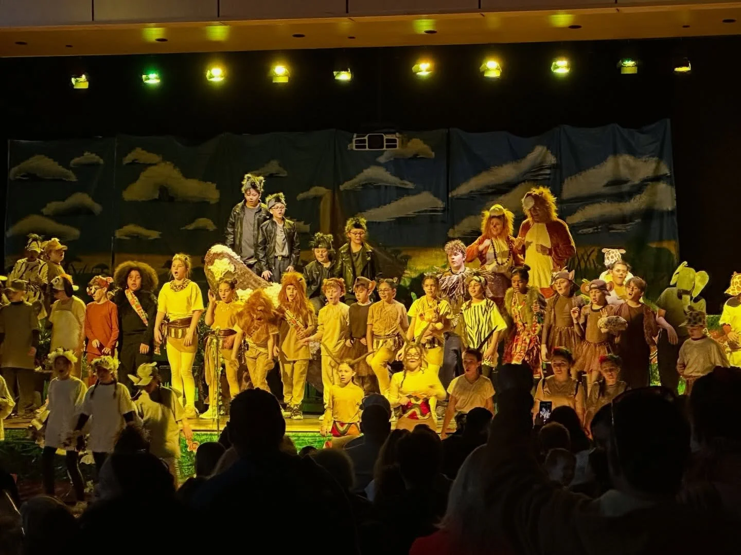 Congratulations to the Beeman and East Veterans&rsquo; casts, crews, staff, volunteers, and families on their stellar productions of Shrek Jr and The Lion King Jr this week! So much talent, so much creativity, and so much WORK goes into these wonderf