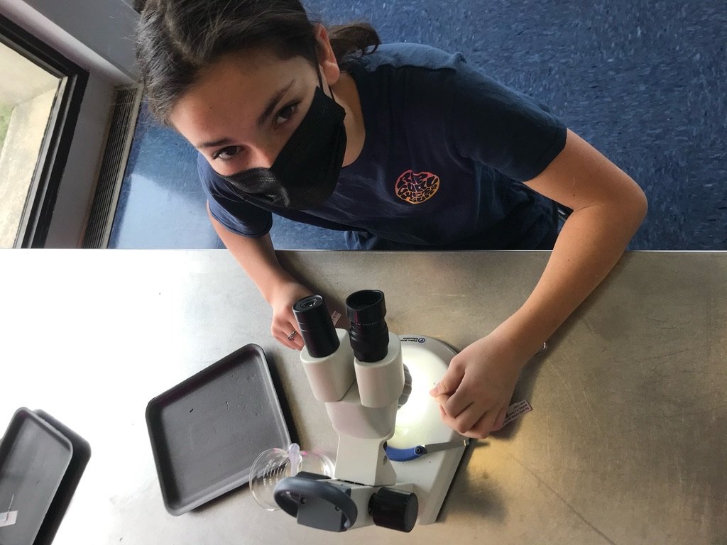 OMaley STEM Lab 1.jpeg