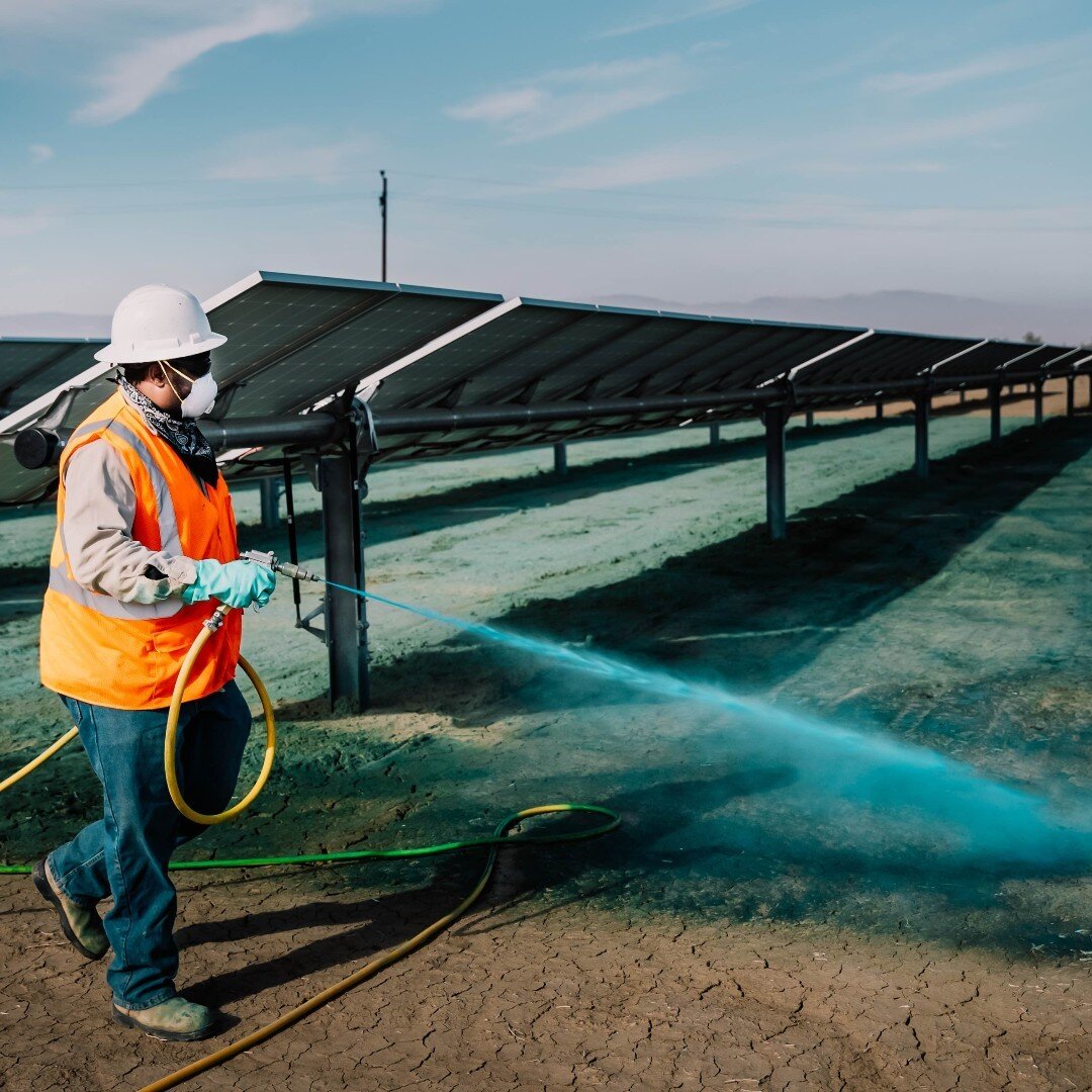 Brown's Construction Services team knows how to weed out the problems! 🌱
Our skilled vegetation management experts are dedicated to keeping your solar panels healthy and weed-free. 

#solarpower #herbicide  #vegetationmanagement