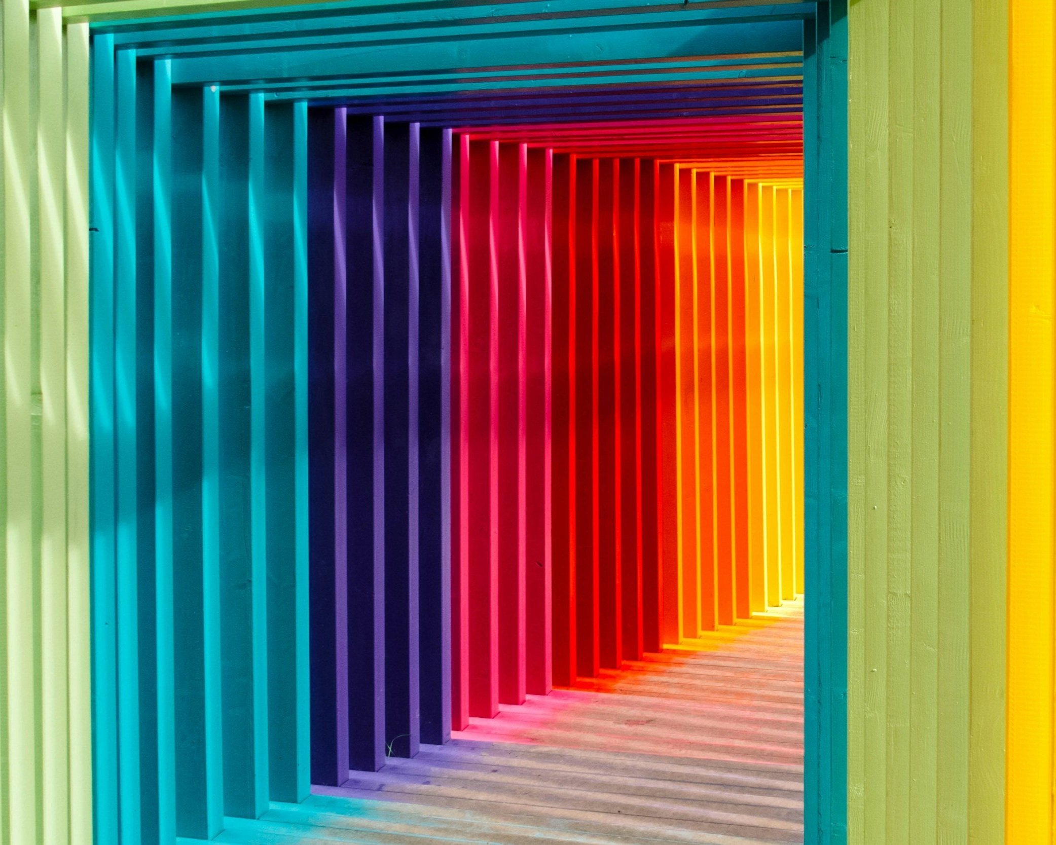 Arts | Light, Shadow, and Storytelling in Art w/ Smriti R.