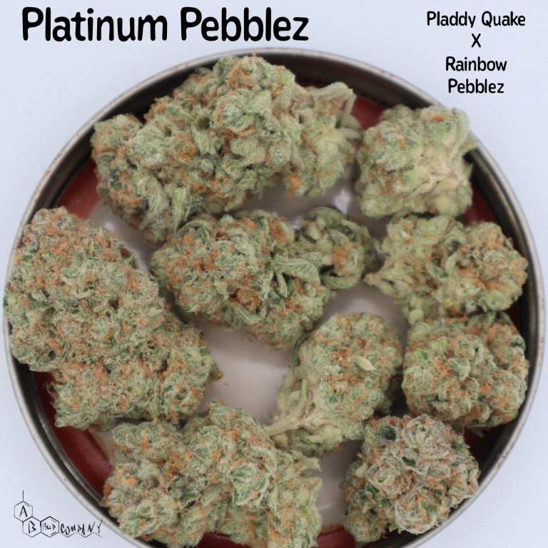 PLATINUM PEBBLEZ