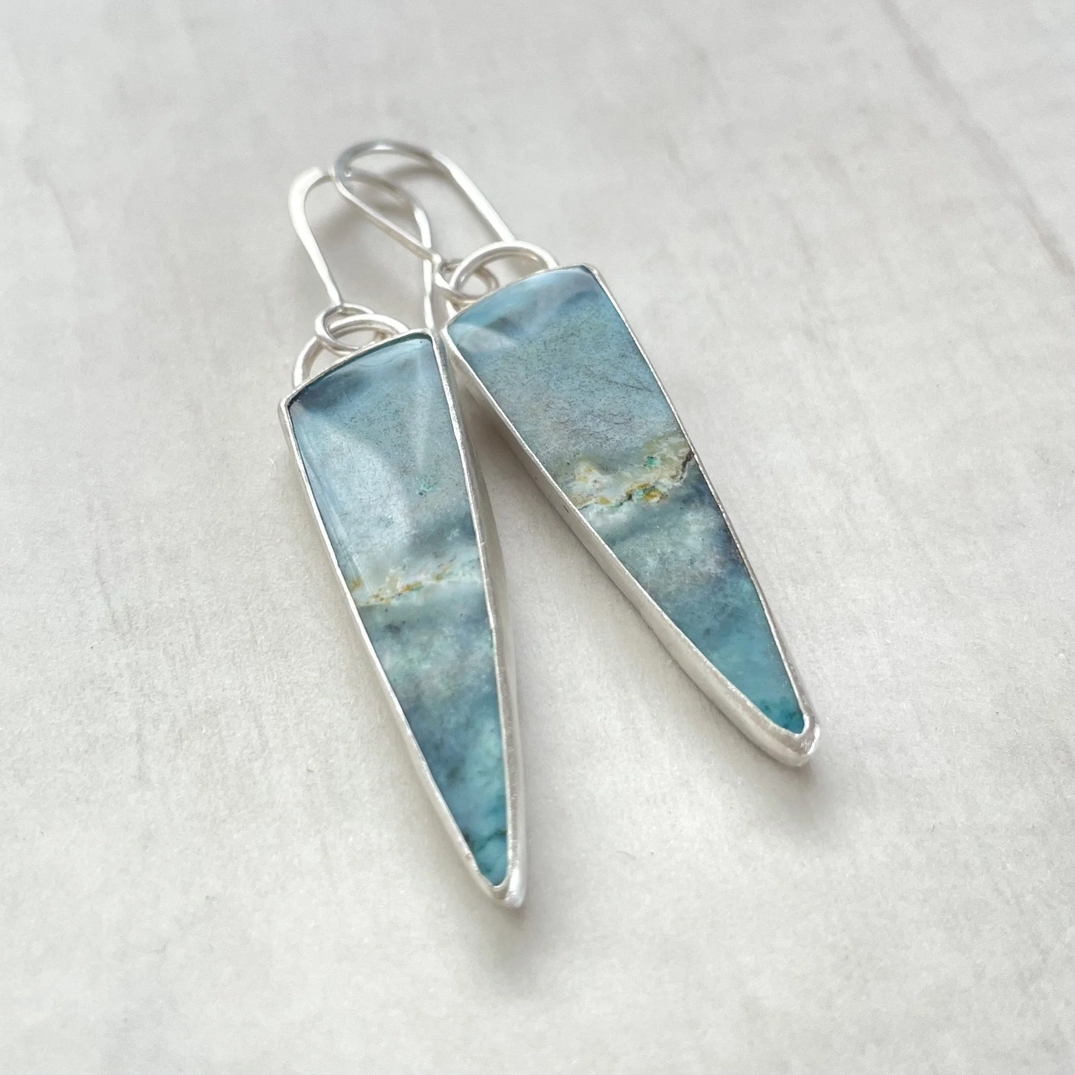 Opalized Petrified Wood  Earrings