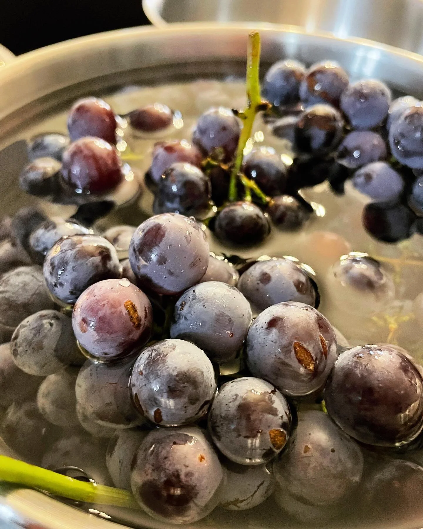 Got a little excited; updated the ol&rsquo; website for FALL! The dog days are slippin away🍂🍁🥧🍇🍎🎃 Most important PSA: CONCORD GRAPE PIE IS HERE but super limited (17 left! ! !) so if you wanna&hellip;  Anyway, keep an eye out for all the fall t