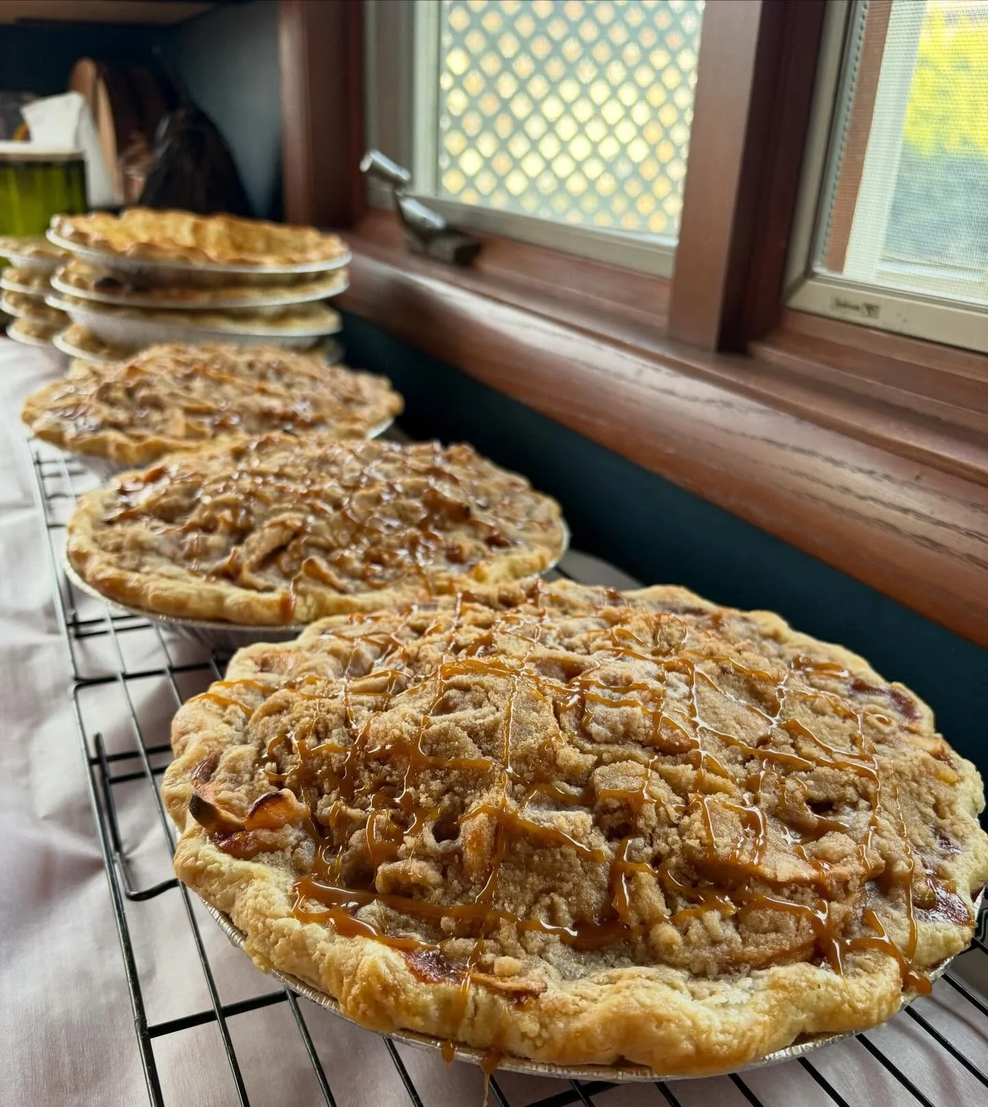Boy do I wish the background of this photo was a white out winter 🙂 but we take what we get. Happy Christmas Eve, friends. If you&rsquo;ve got a DD pie at the table today or tomorrow&mdash; thank you and it truly was so, so fun to serve you. I cried
