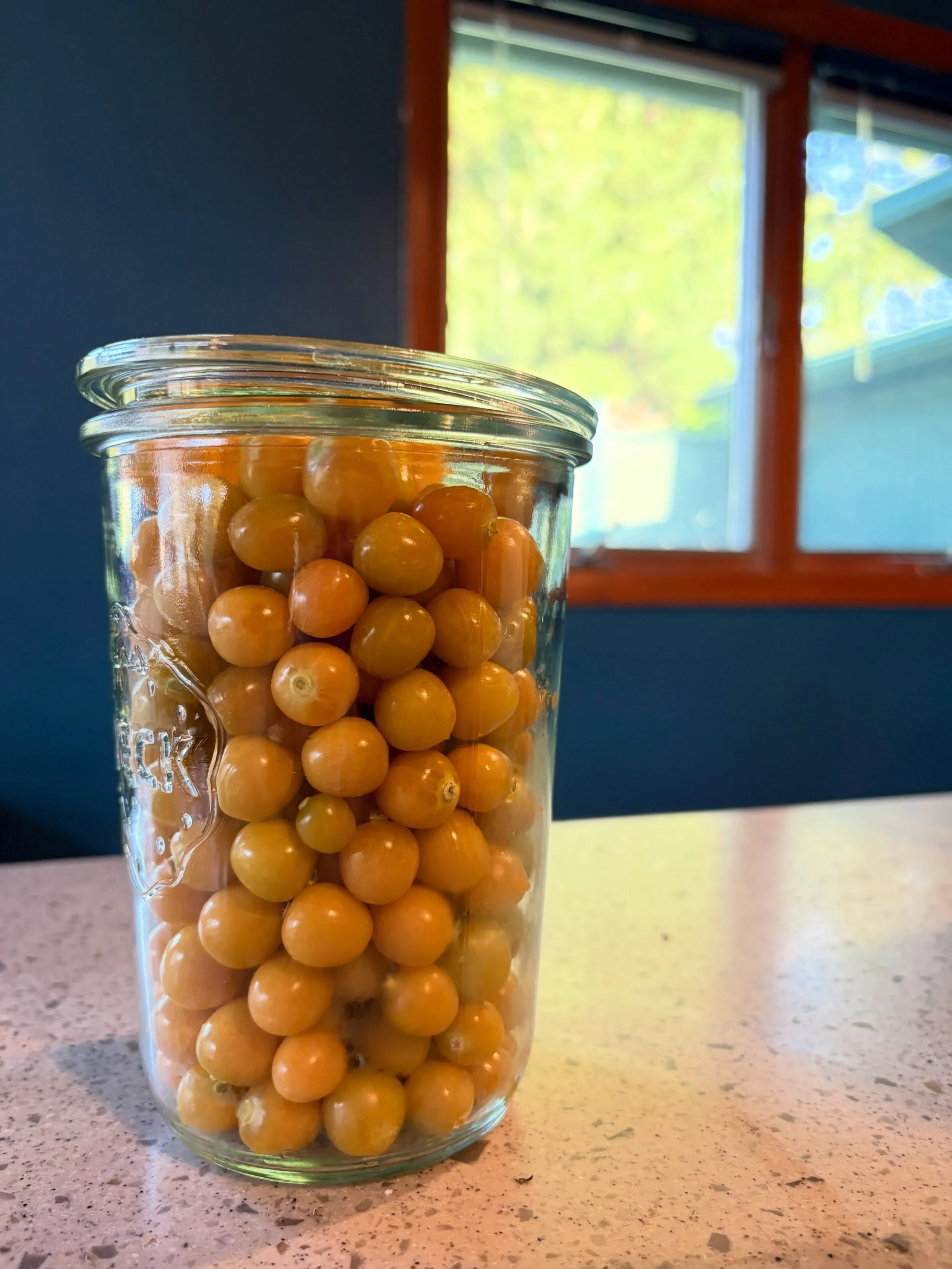 ✨ FINAL @daisychaincoffee MARKET OF THIS SEASON THIS SATURDAY 8/29 ✨ swing through for all the staples: hand pies, kouign amann, biscoffee bars&hellip; What should I do with these golden berries?! They have overtaken my garden