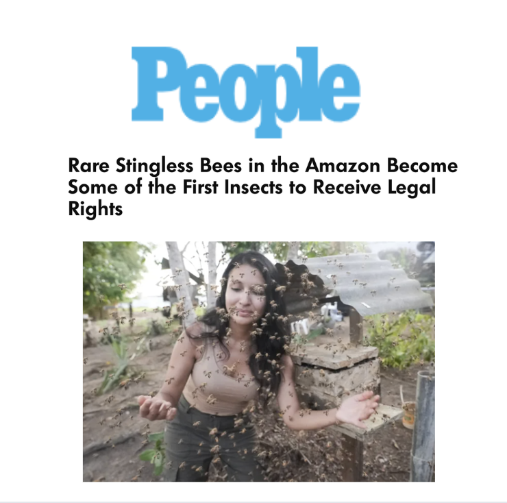 Screenshot 2026-01-13 at 13.20.03.png