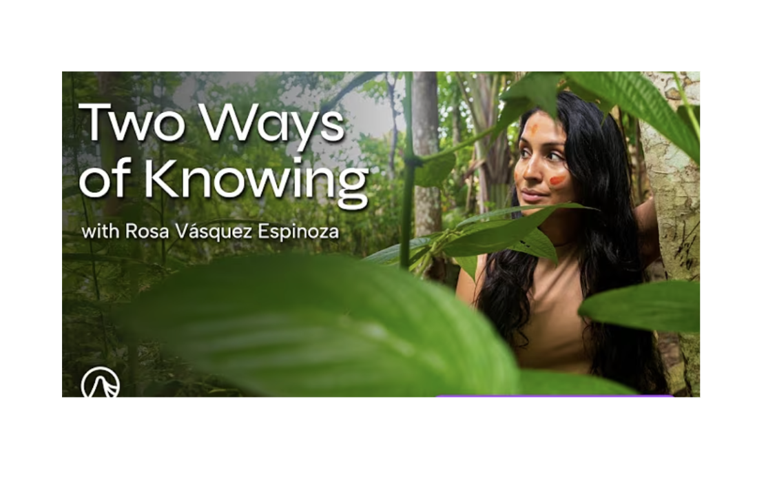 Screenshot 2026-01-13 at 13.22.37.png